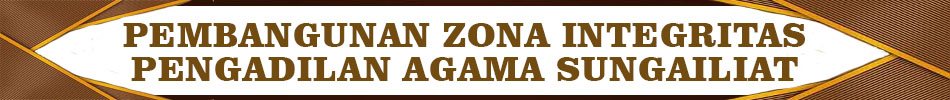 Web Zona Integritas 3